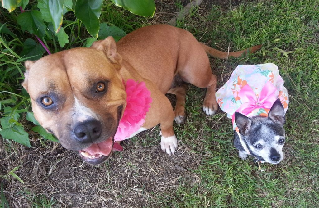 Yoshi & Suki 2