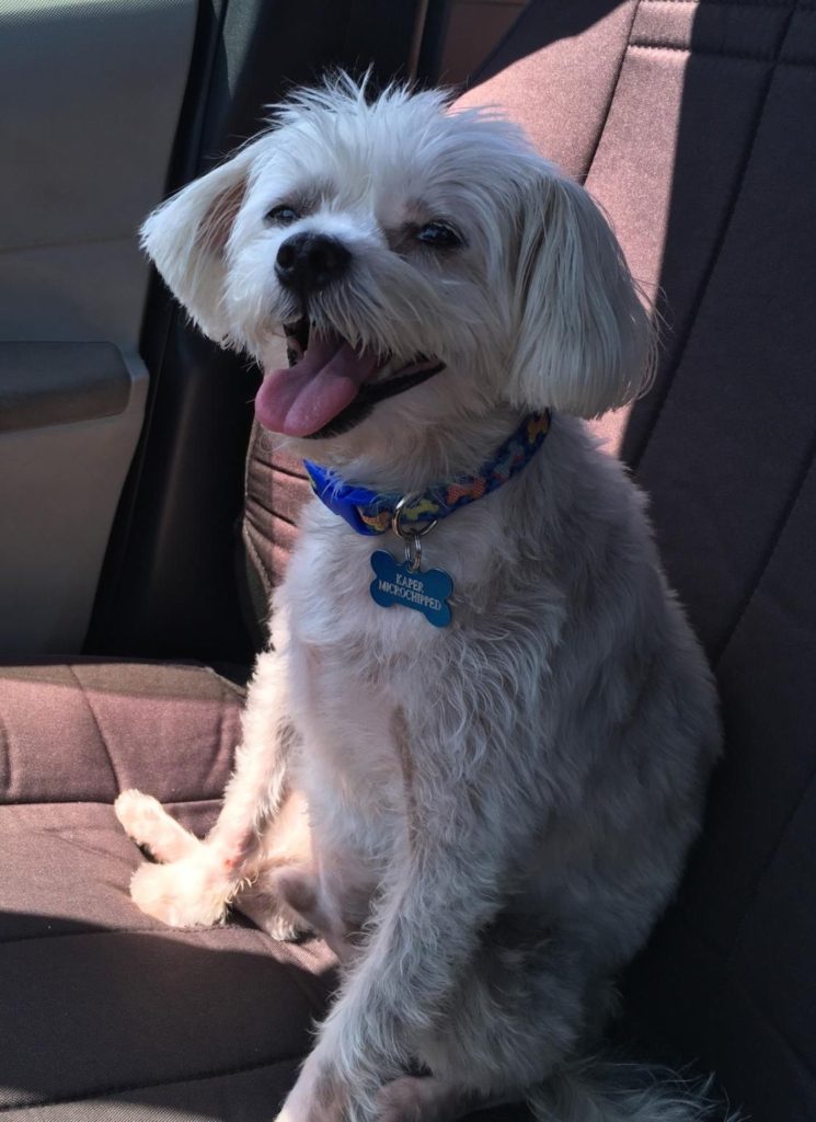 Kaper in car